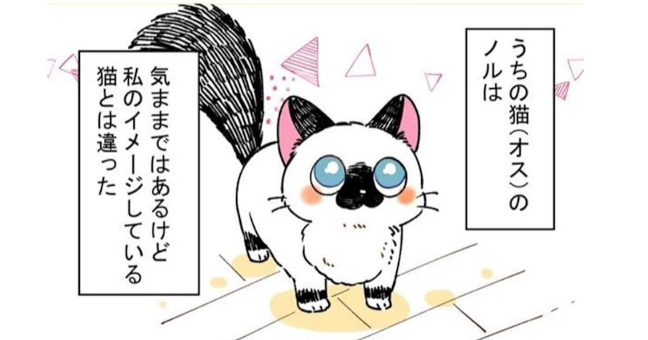 「私が思っていた猫とは全然違うけど…」猫との暮らしを描いた創作漫画が可愛すぎて癒される