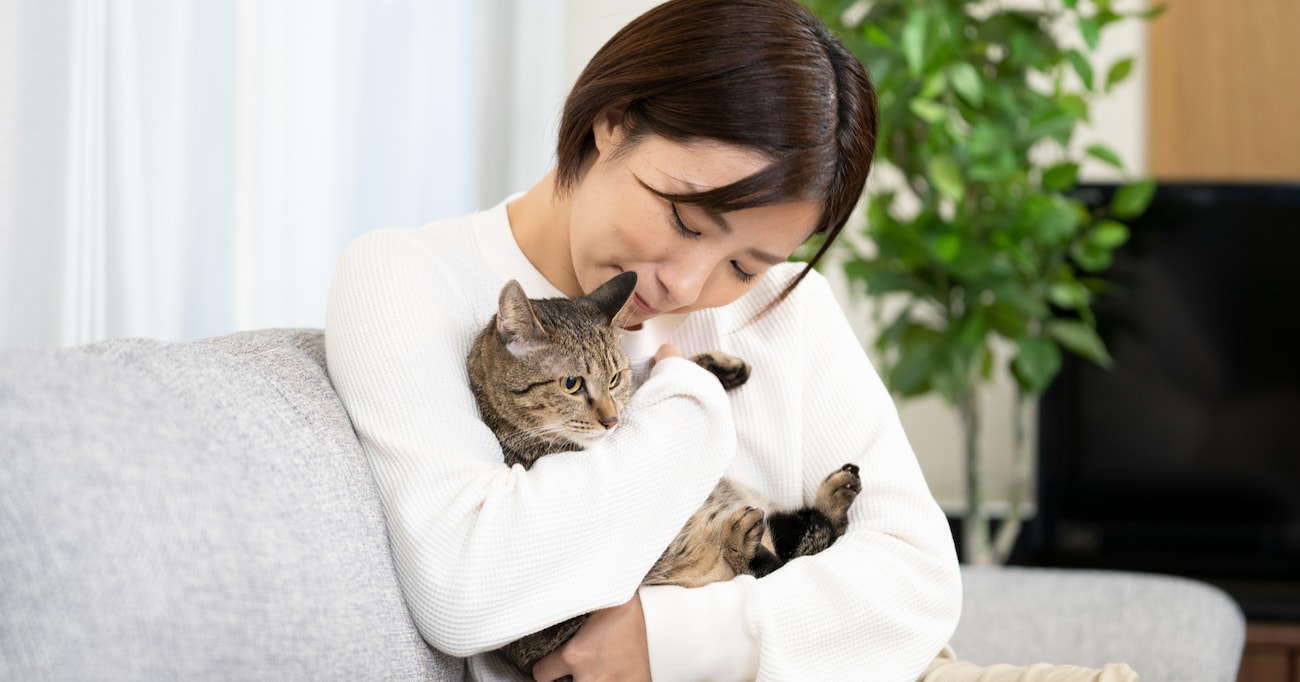 猫を飼っている人は必見！ 地震に怯える猫を落ち着かせる "ある方法" がタメになる