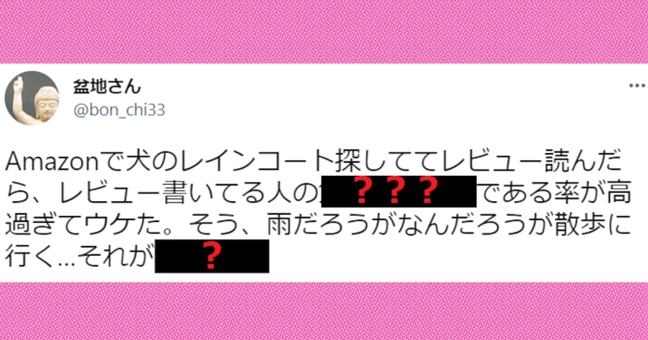 Amazonで犬のレインコートの商品レビューを読むと高確率で…驚きの "共通点" が話題に！