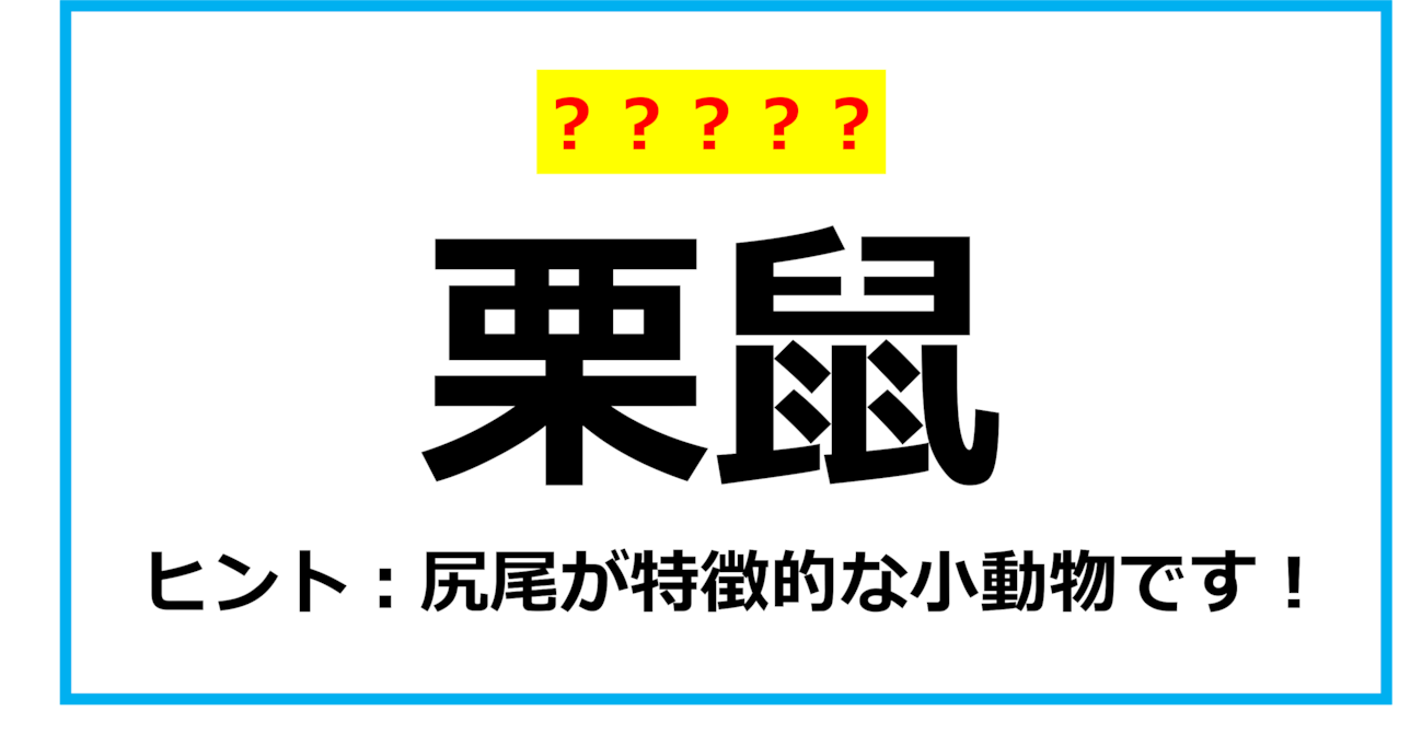 【難読クイズ】動物の名前「栗鼠」なんて読む？（第5問）