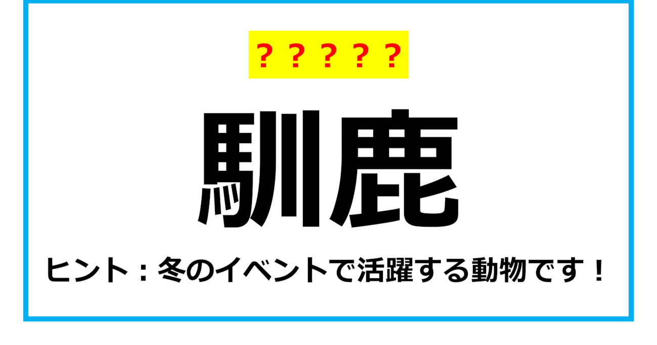 【難読クイズ】動物の名前「馴鹿」なんて読む？（第4問）