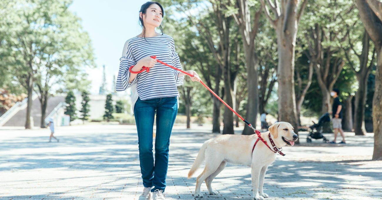 【ほっこり】犬を連れて歩いていると「かっこいいね、なんて種類？｣ と、かわるがわる話しかけられて…？