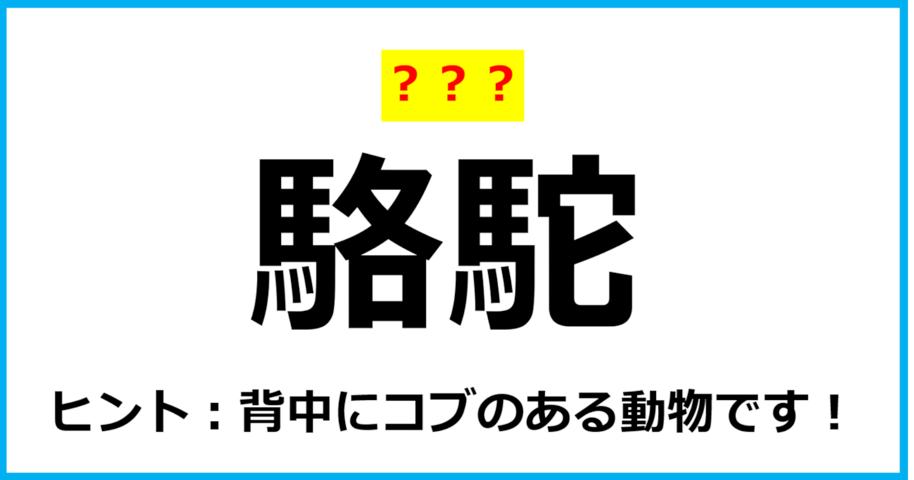 【難読クイズ】動物の名前「駱駝」なんて読む？（第37問）