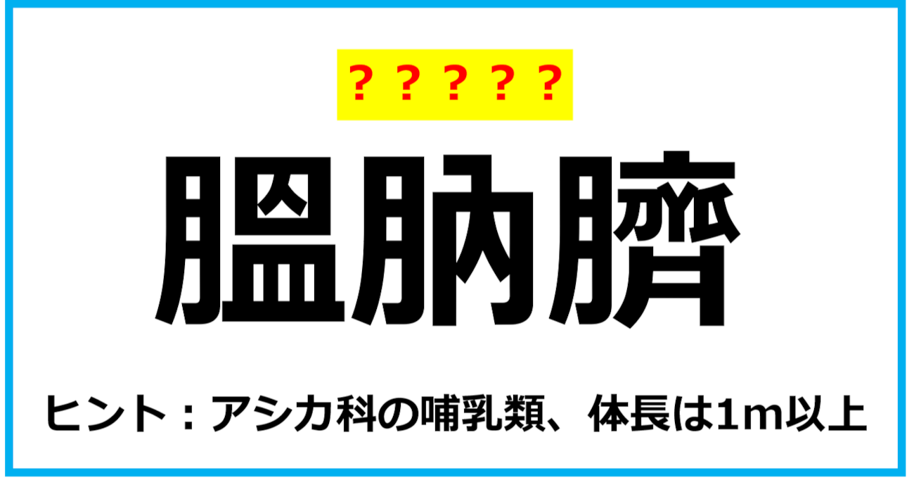 【難読クイズ】動物の名前「膃肭臍」なんて読む？（第50問）