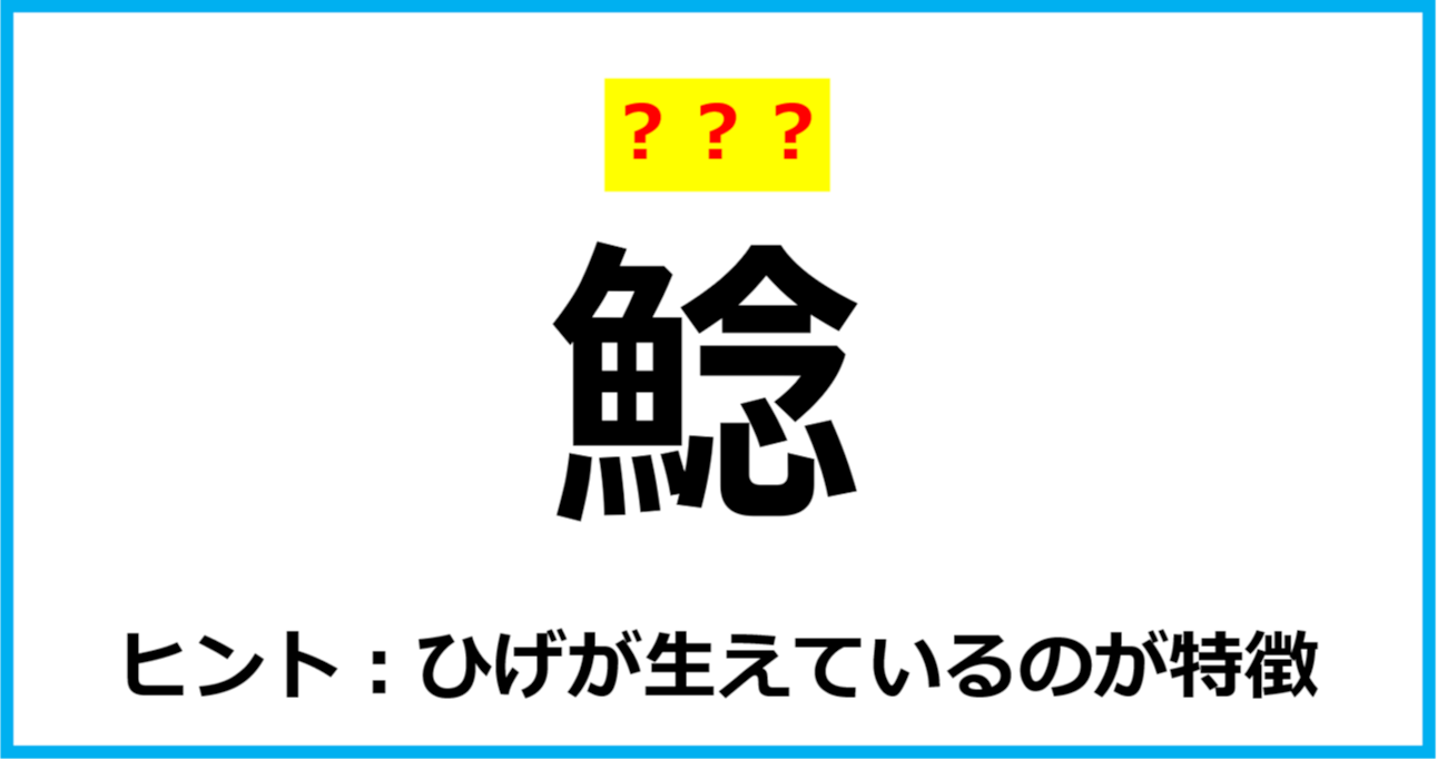 【難読クイズ】魚の名前「鯰」なんて読む？（第51問）