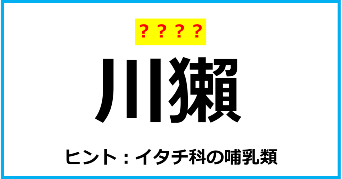 【難読クイズ】動物の名前「川獺」なんて読む？（第60問）