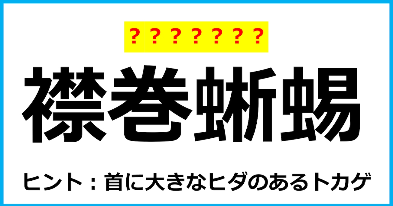 【難読クイズ】動物の名前「襟巻蜥蜴」なんて読む？（第64問）