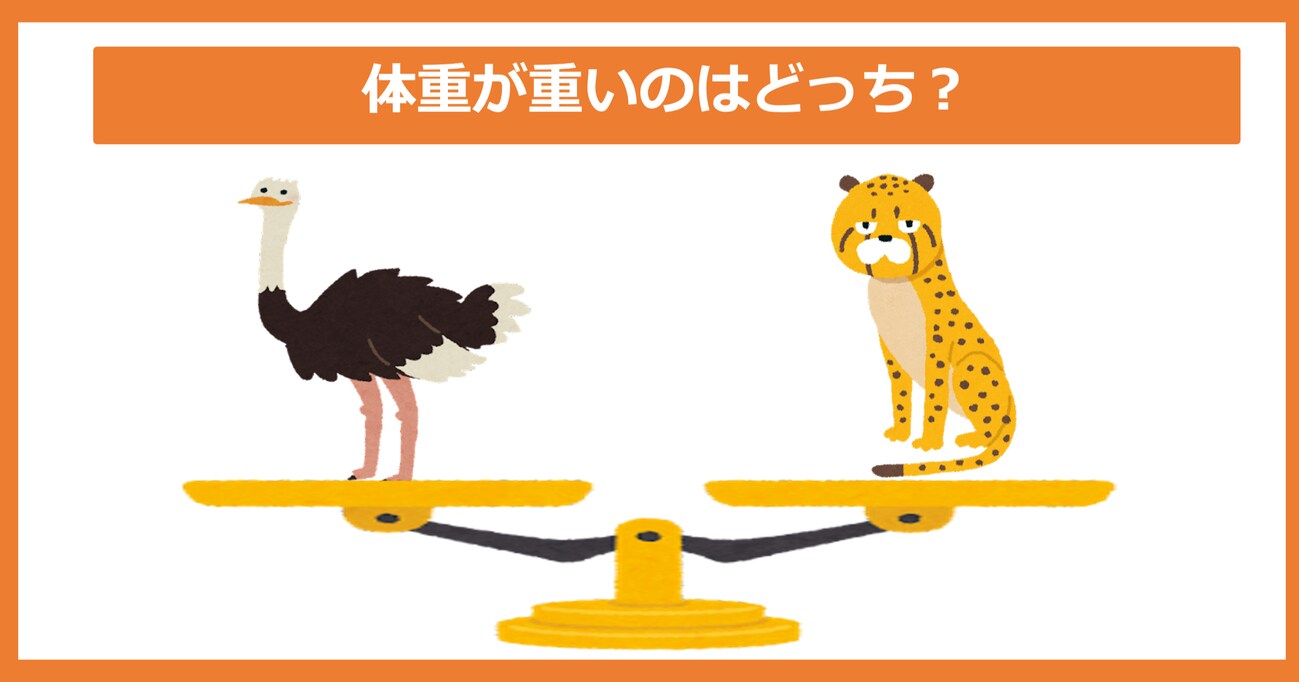 【体重が重いのどっち？】ダチョウ vs チーター