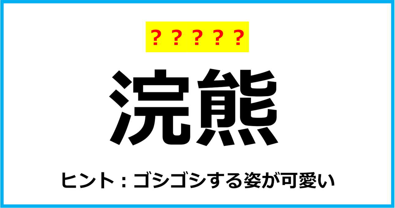 【難読クイズ】動物の名前「浣熊」なんて読む？（第137問）