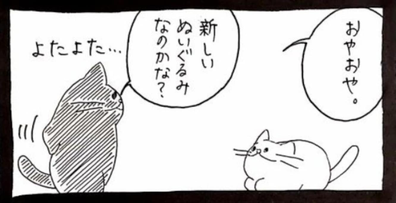 新入り猫と先住猫がご対面！ 新米をぬいぐるみと勘違いした先住猫がまさかの反応!?