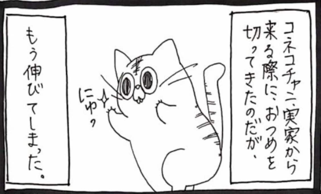 爪切りをイジメだと勘違いしたネコチャンが仲間を助けようと奮闘！「さすが年長者」「同類には優しい」