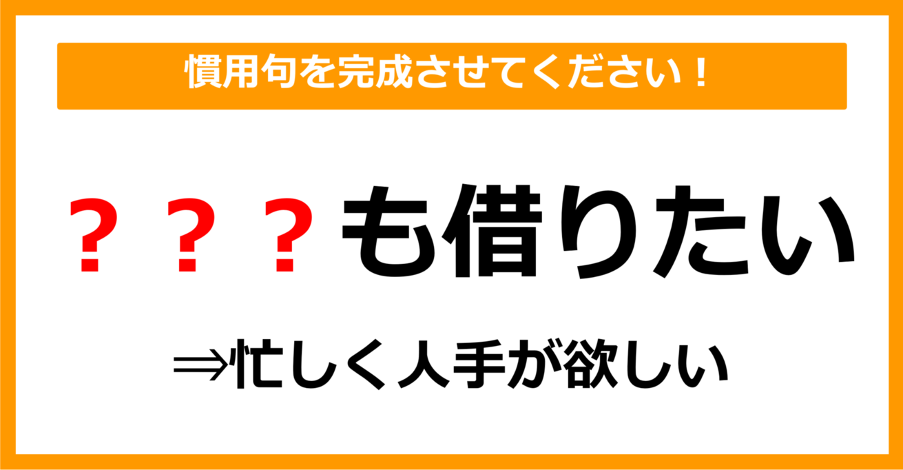 【慣用句クイズ】「〇〇〇も借りたい」空欄に入る動物に関する語句は？（第24問）