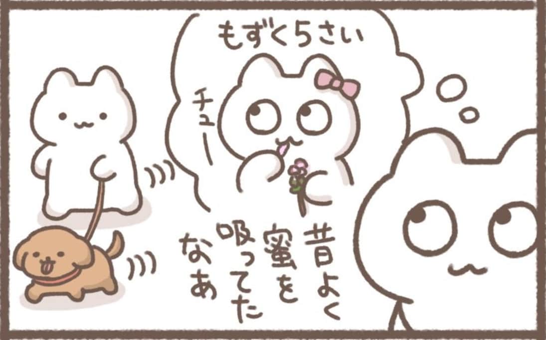 昔よく蜜を吸ってた "あの花" のショックすぎる真実に涙がとまらない