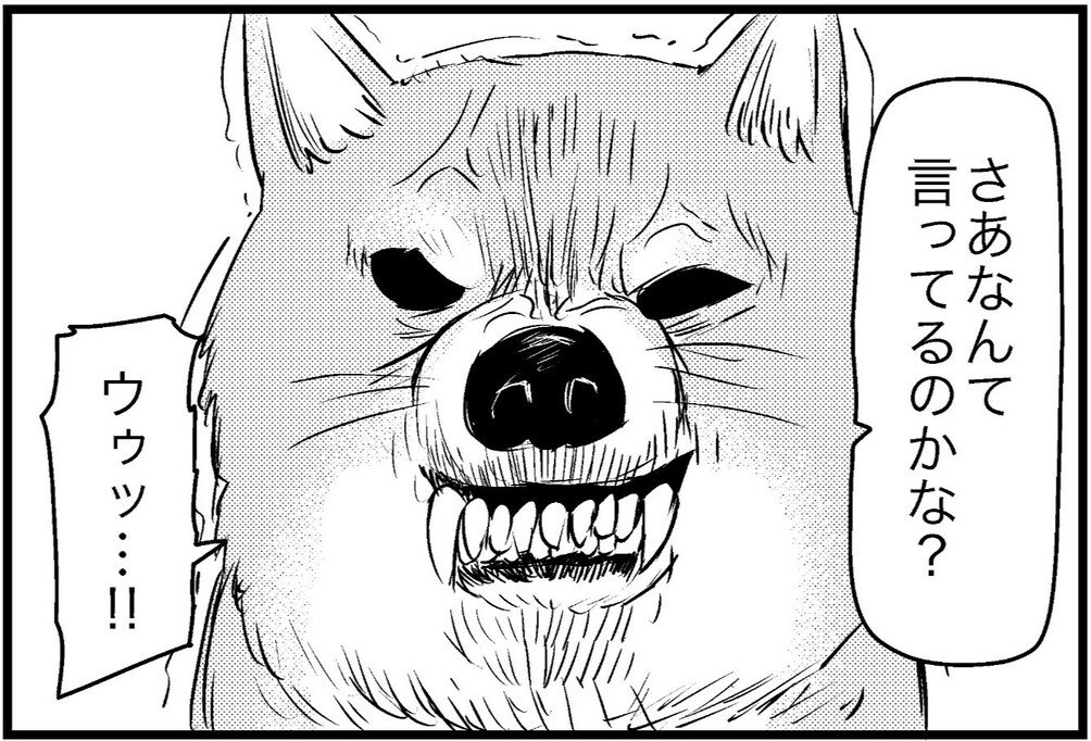 【傑作】どうみても激ギレの犬が男に伝えたい言葉とは？ 翻訳アプリで明らかに…