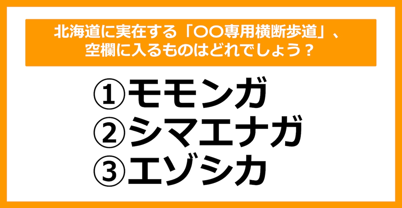 【雑学クイズ】北海道に実在する「〇〇専用横断歩道」、空欄に入るものはどれでしょう？