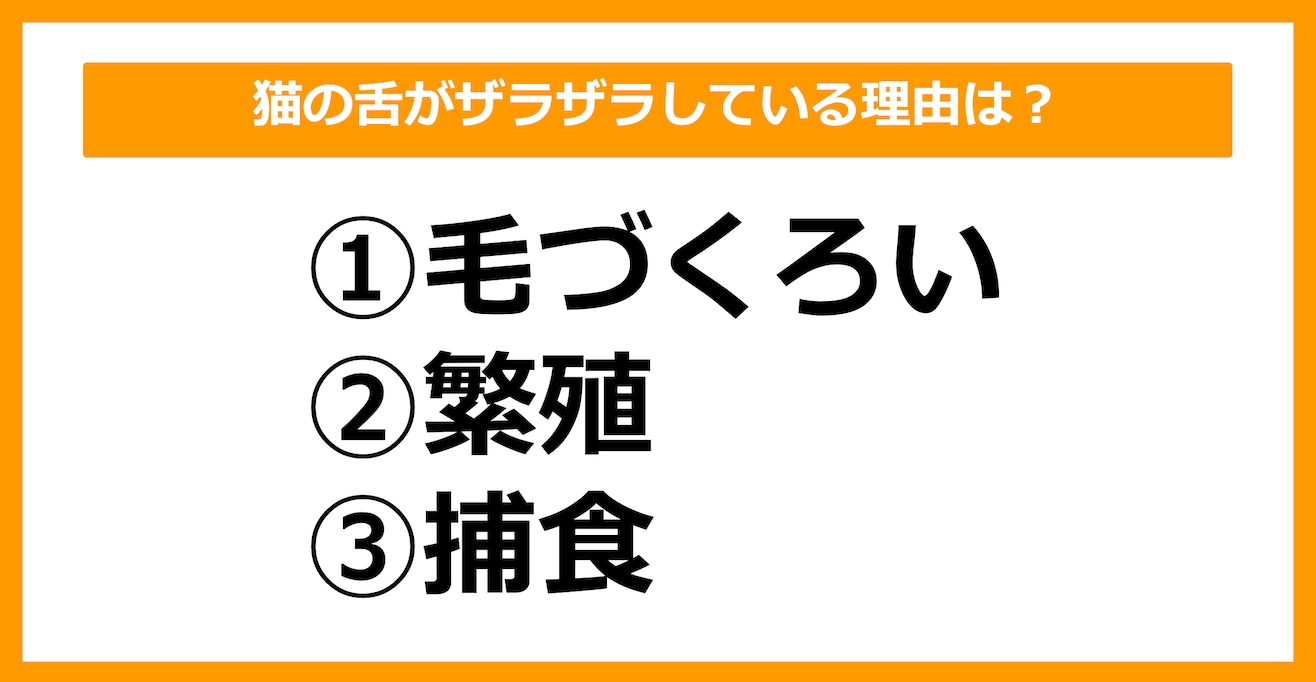 【雑学クイズ】猫の舌がザラザラしている理由は？