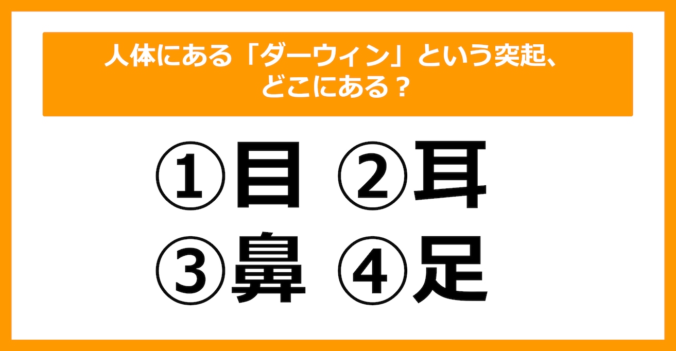 【雑学クイズ】人体にある「ダーウィン」という突起、どこにある？