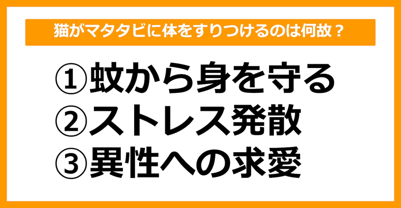 【雑学クイズ】猫がマタタビに体をすりつけるのは何故でしょう？