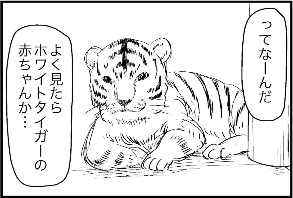 よく見たら猫じゃなくホワイトタイガーの赤ちゃん!? レア度を自覚しているタイガーが切ない「クソワロタ」「解せぬ」