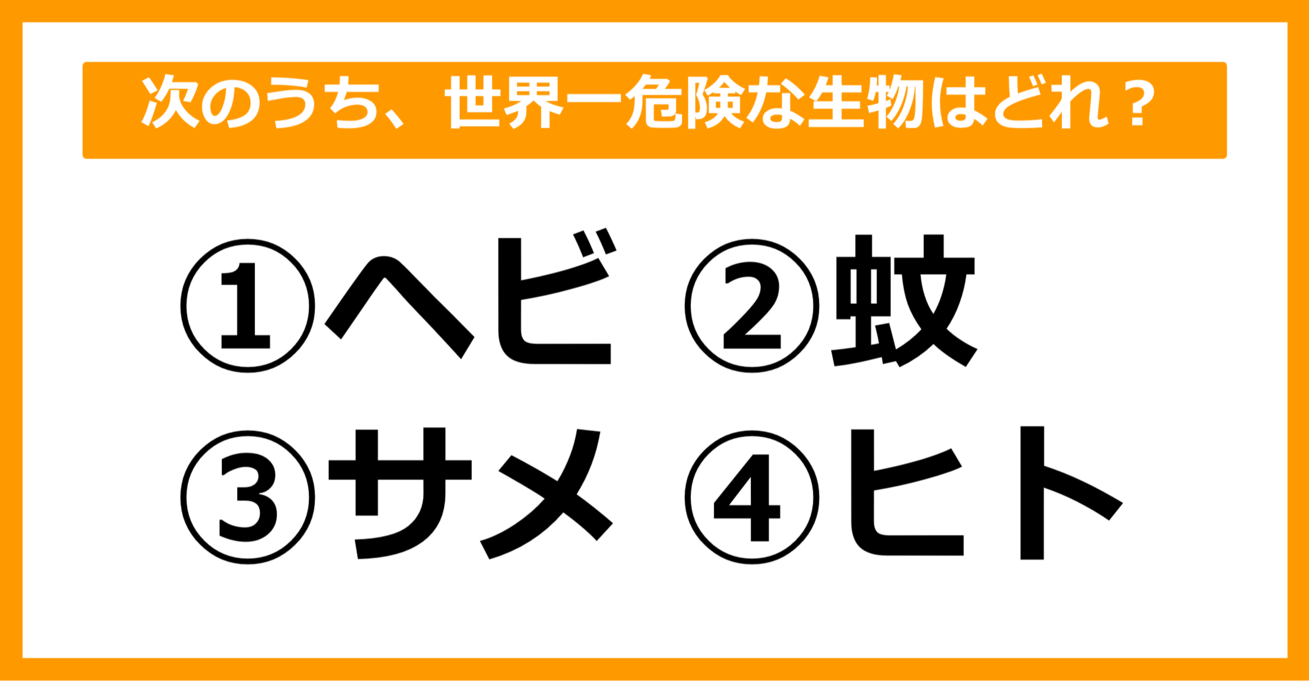 【雑学クイズ】次のうち、世界一危険な生物はどれでしょう？