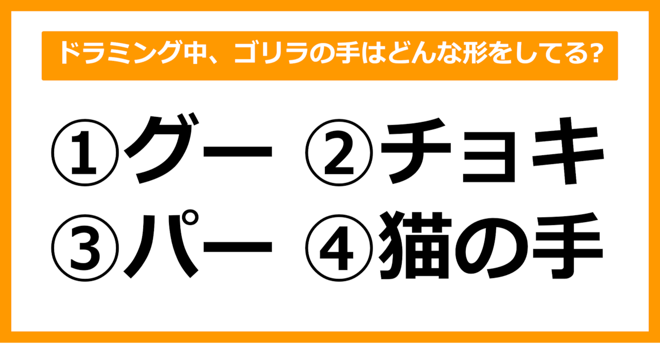 【雑学クイズ】ドラミング中、ゴリラの手はどんな形をしているでしょう？