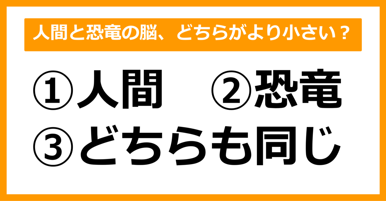 【雑学クイズ】人間と恐竜の脳、どちらがより小さい？