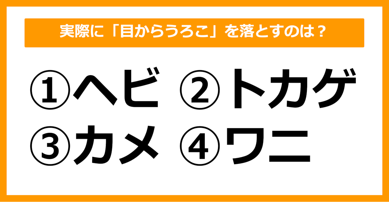 【雑学クイズ】実際に「目からうろこ」を落とす動物は？