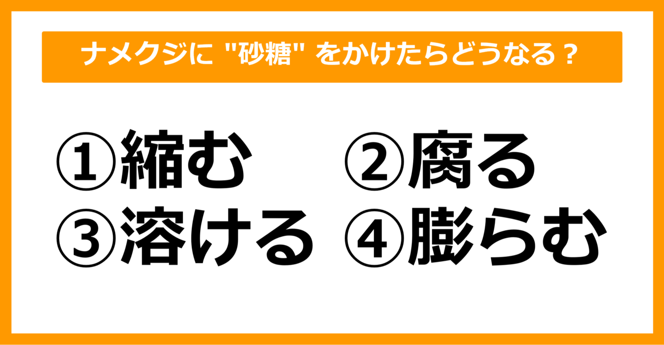 【雑学クイズ】ナメクジに "砂糖" をかけたらどうなるでしょう？