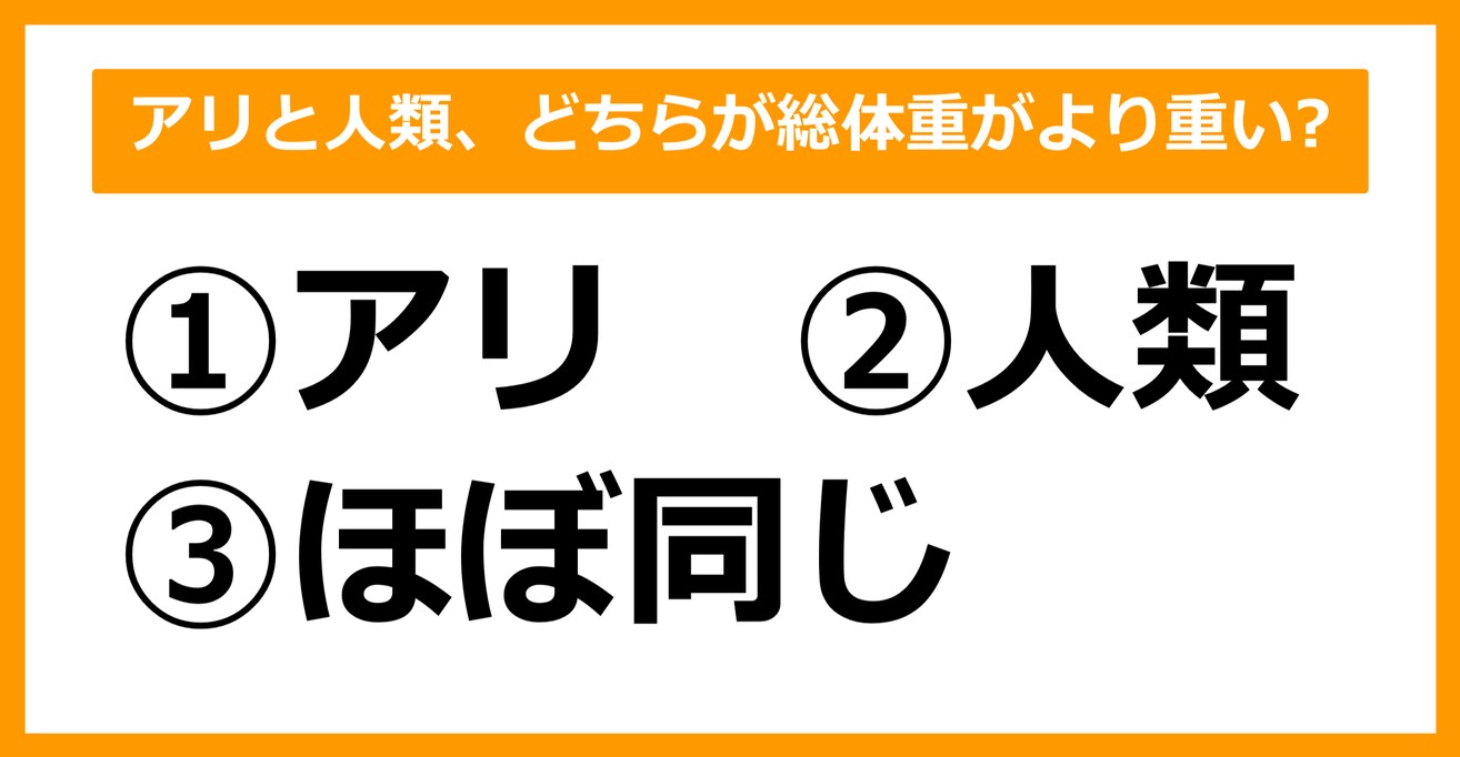 【雑学クイズ】アリと人類、総体重はどちらがより重いでしょう？