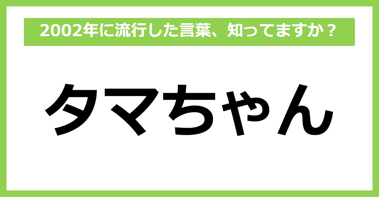 【懐かしい】2002年に流行した言葉、知ってる？（第42問）