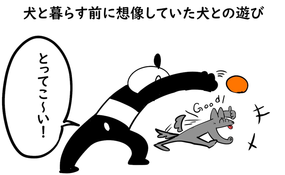 犬を飼う前と飼った後で変わる!? 一緒に暮らしてわかった新しい "遊び" の概念とは