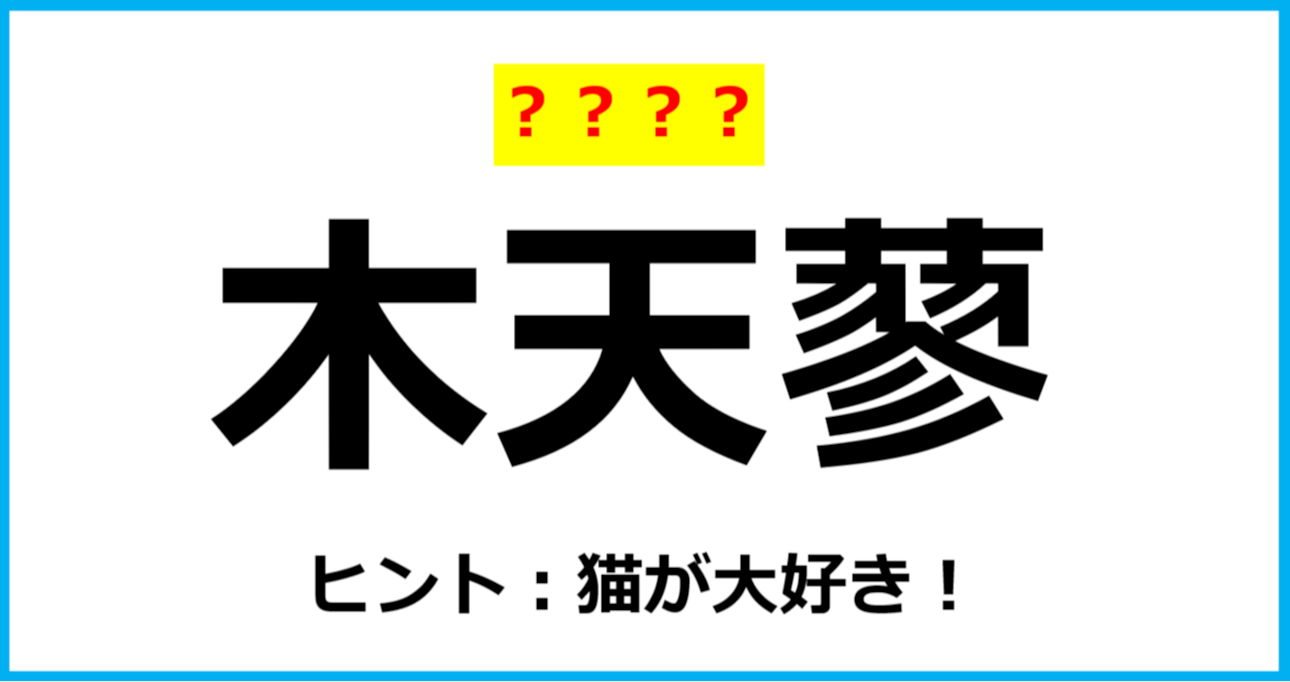 【難読クイズ】植物の名前「木天蓼」なんて読む？