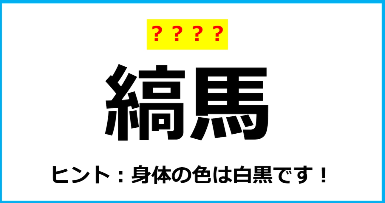 【難読クイズ】動物の名前「縞馬」なんて読む？