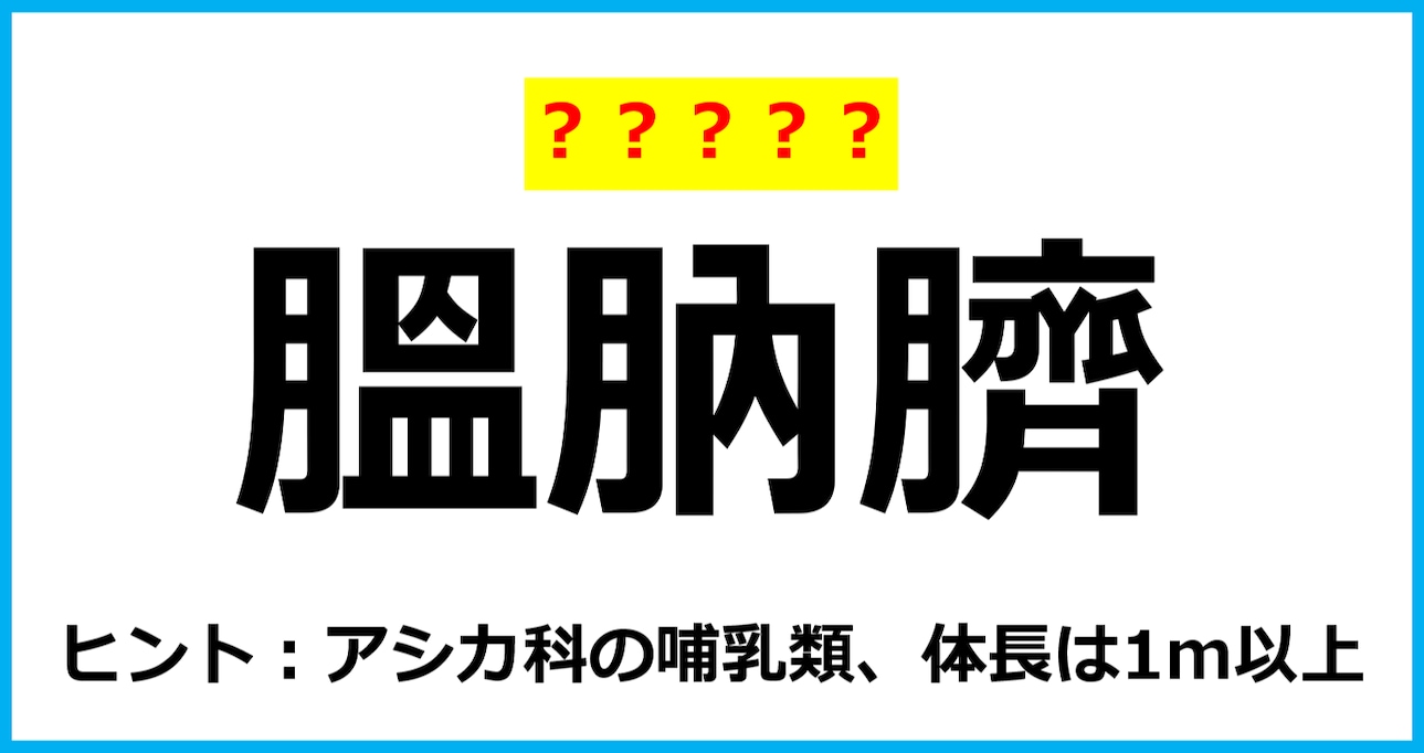 【難読クイズ】動物の名前「膃肭臍」なんて読む？