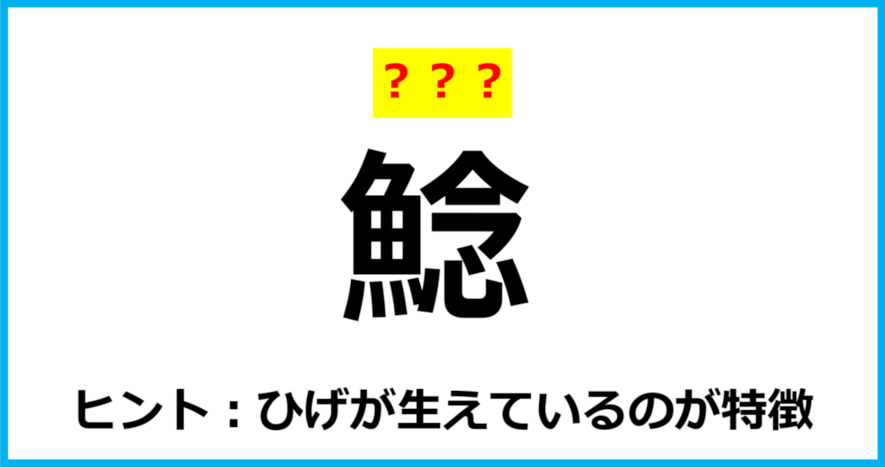 【難読クイズ】魚の名前「鯰」なんて読む？