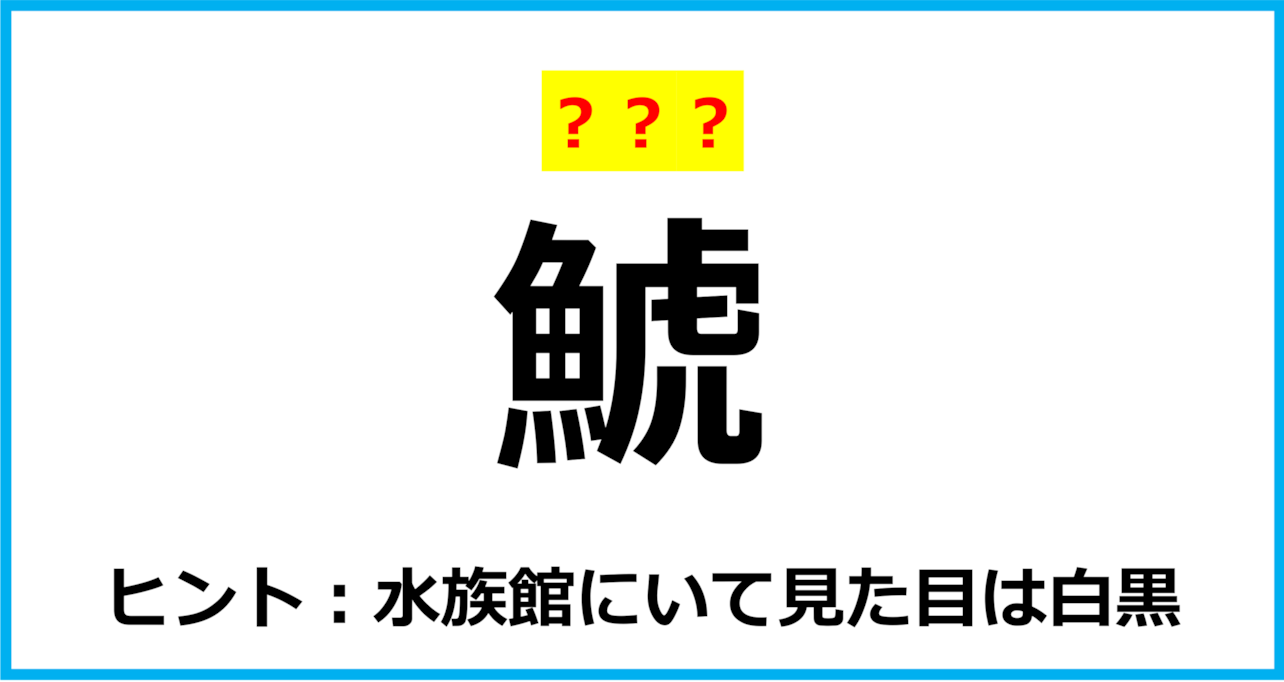 【難読クイズ】動物の名前「鯱」なんて読む？