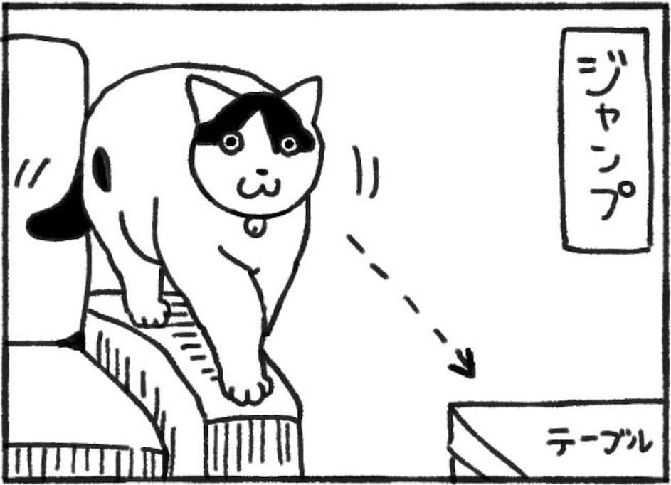 「お前…ギリギリが好きなのか!?」ギャンブラー体質の猫様に「天才」「可愛い」