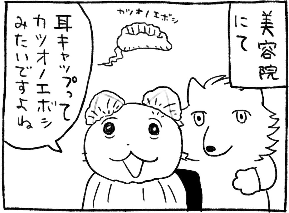 美容院の耳キャップって "アレ" に似てる…！ 美容師に告げてみたら「言わなきゃよかった」結果に