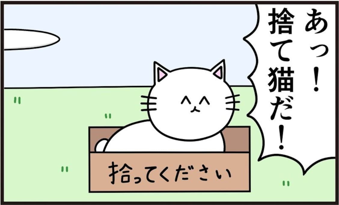 捨て猫に名付けてはいけない禁忌の名前とは？「クソワロタ」「こういうネタ好き」「どっちがモンスター」