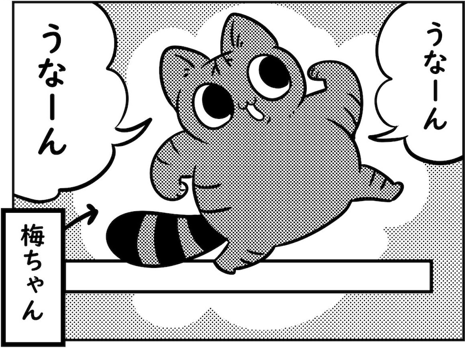 通り道を妨害され、困り果てた猫ちゃんは…可愛すぎる通行止めに「最高」「ファミコンのゲームみたい」
