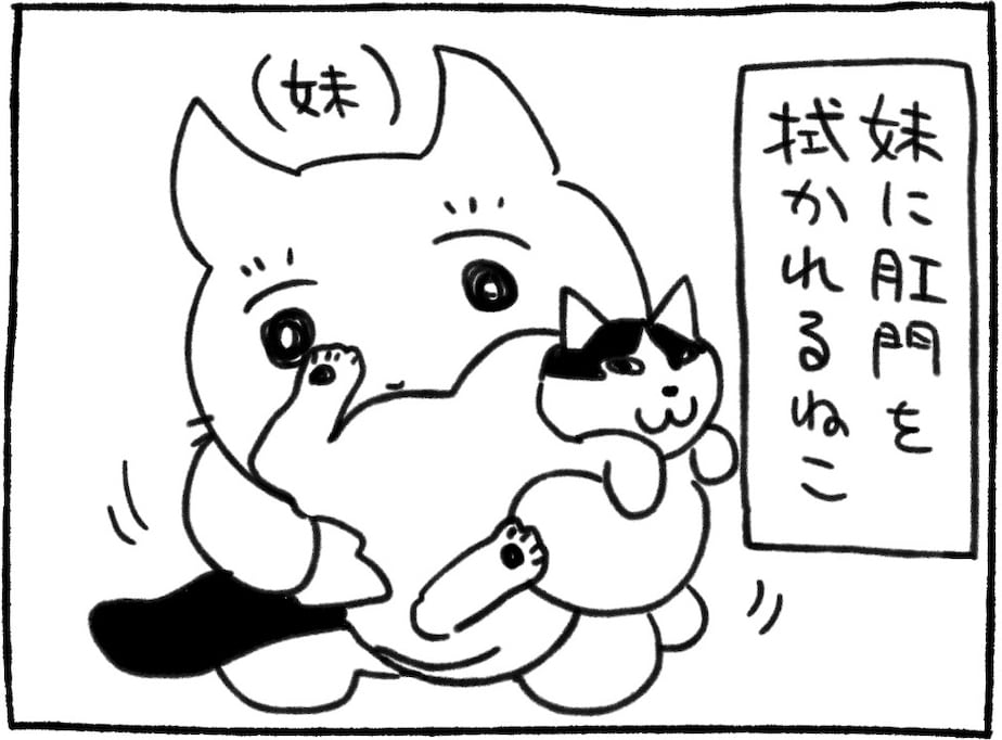 猫飼いに訪れる緊張の瞬間…「分かります」「可愛い」「あるある」