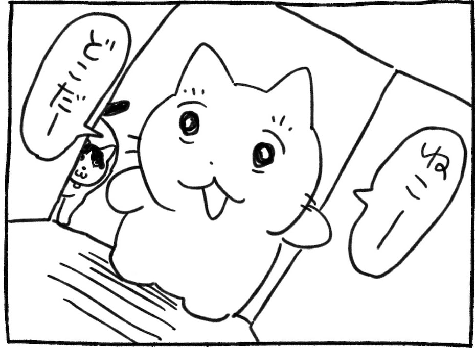 猫との可愛い遊びに癒される…「後ろ後ろ〜」「あるある」「もしかして狙われてる？」