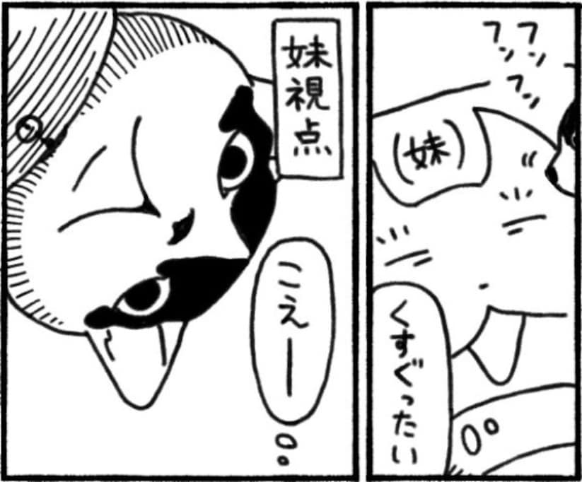 猫のアピールに目を覚ますと…まさかの地獄に「なかなかアツイ」「ドヤ顔ありがとう」「意思を感じる」
