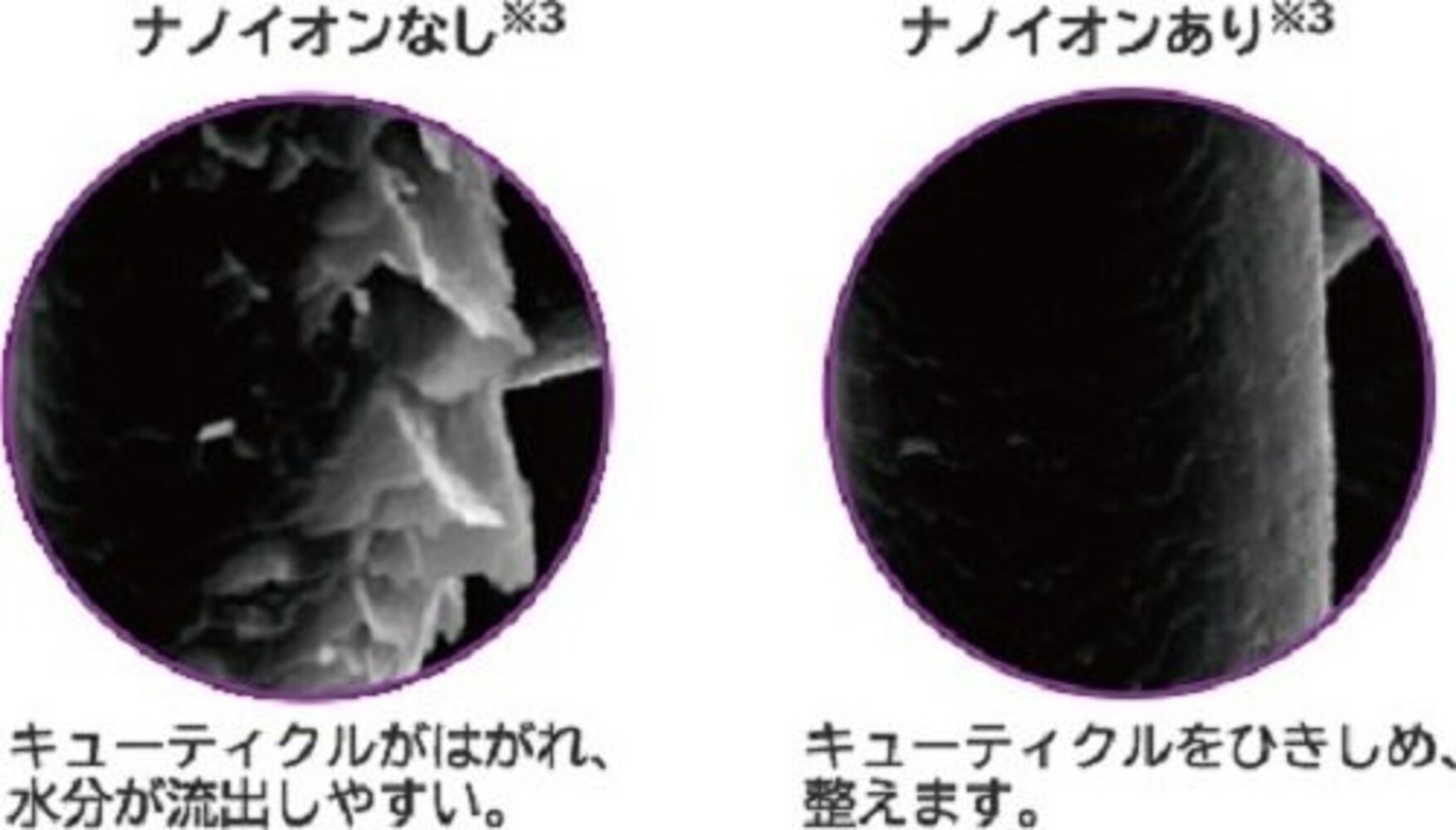 イオン機能
