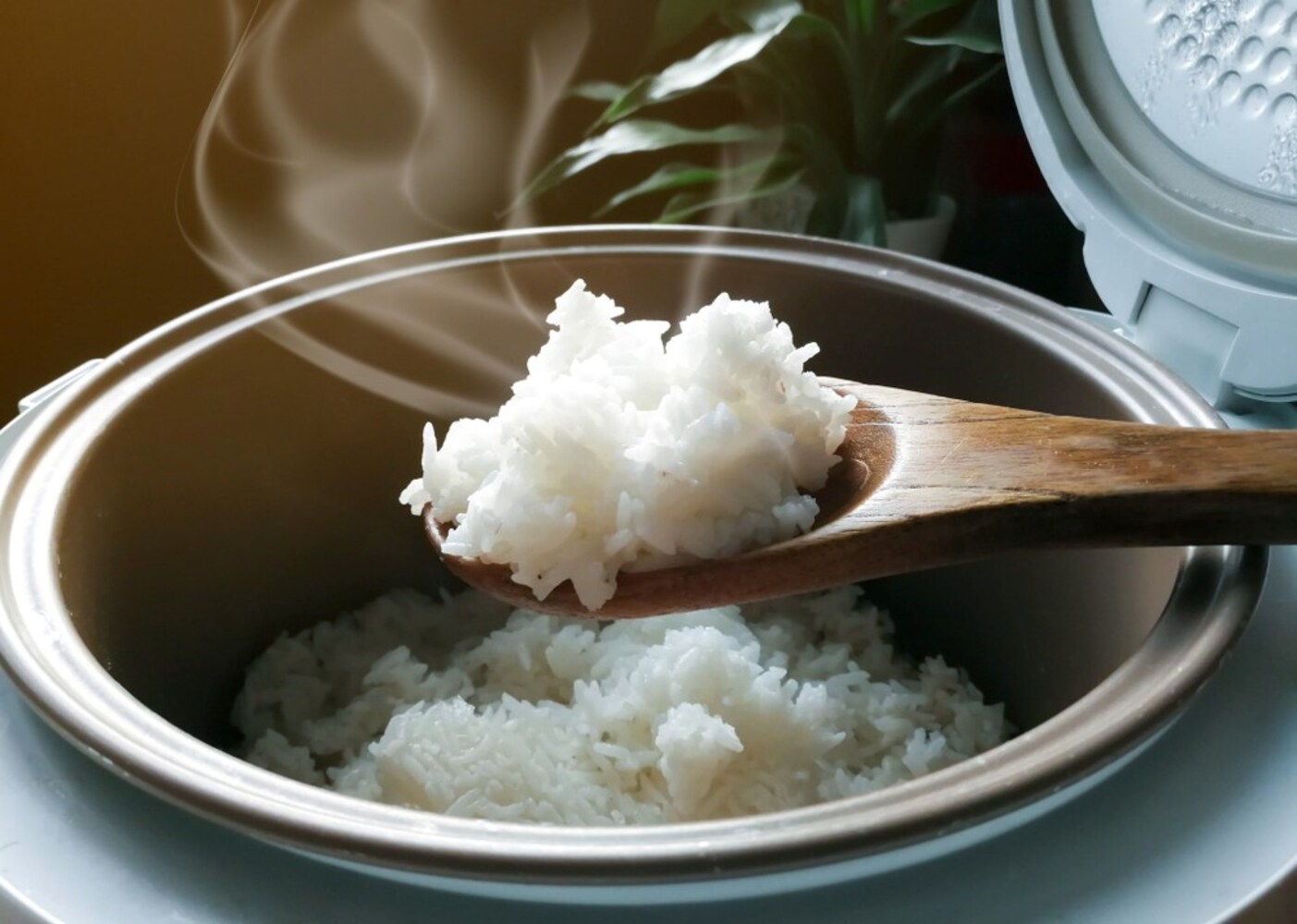 ガス炊飯器