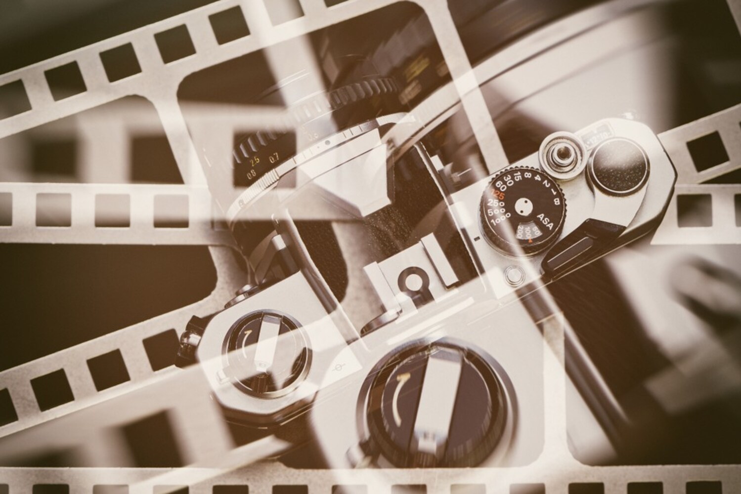 Nikon(ニコン)の一眼レフの特徴は......?