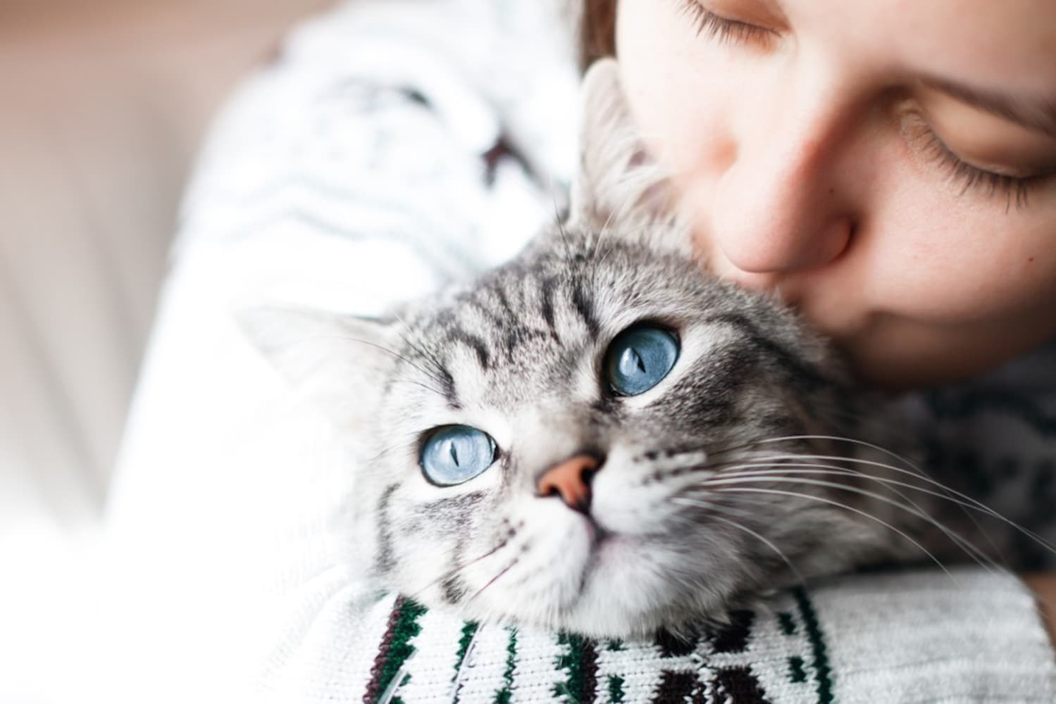 猫ちゃんと飼い主の女性