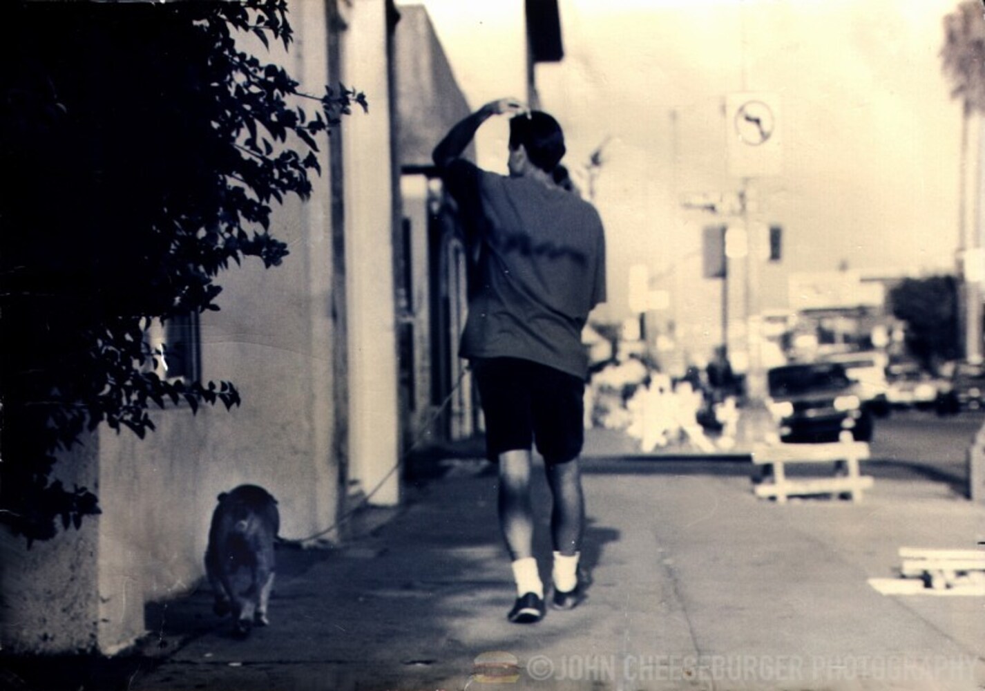 menanddog