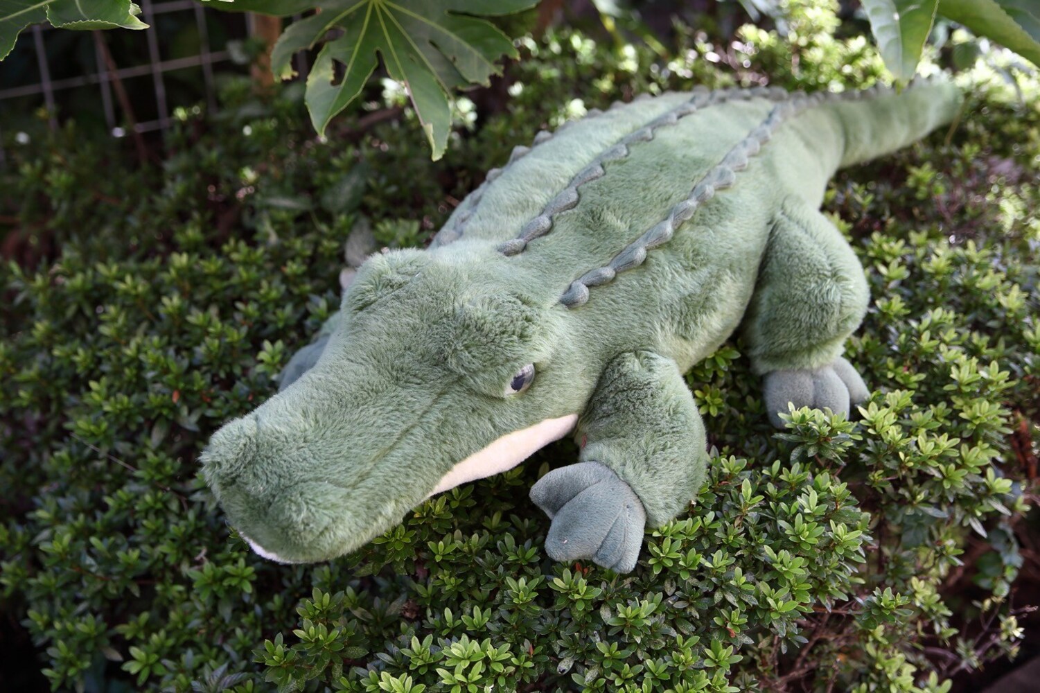 4372