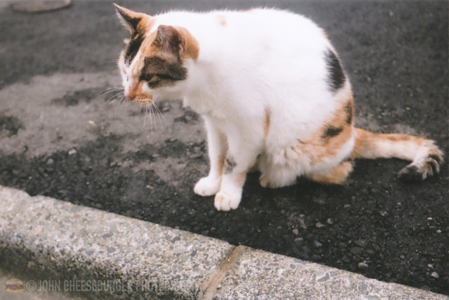 31